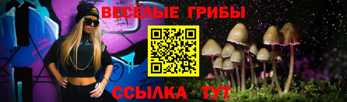 Чусовой  Псилоцибиновые грибы Psilocybe  Вход с VPN 